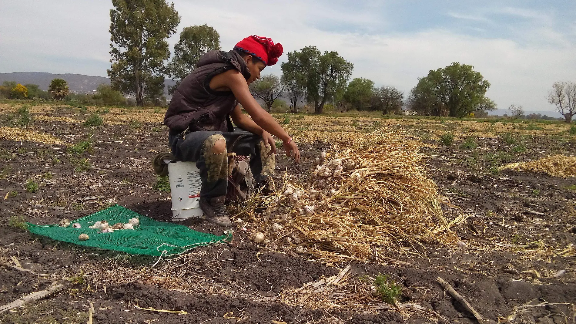 Con el fin de comercializar lo que se produce en el campo se busca tener el apoyo de la